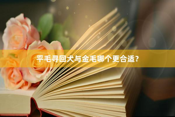 平毛寻回犬与金毛哪个更合适？